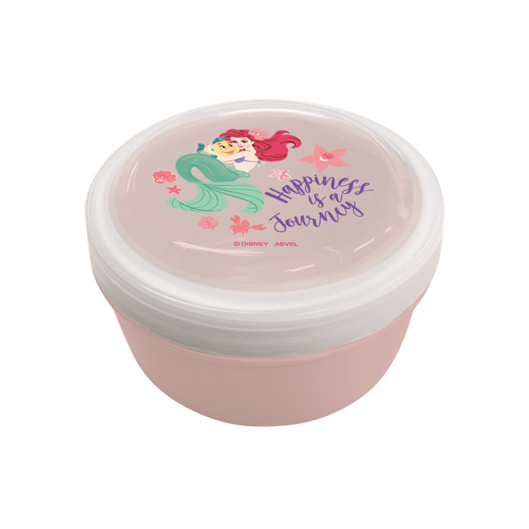 ランチＳＴＲ－２５０Ｃ（ＬＭ２４） 画像