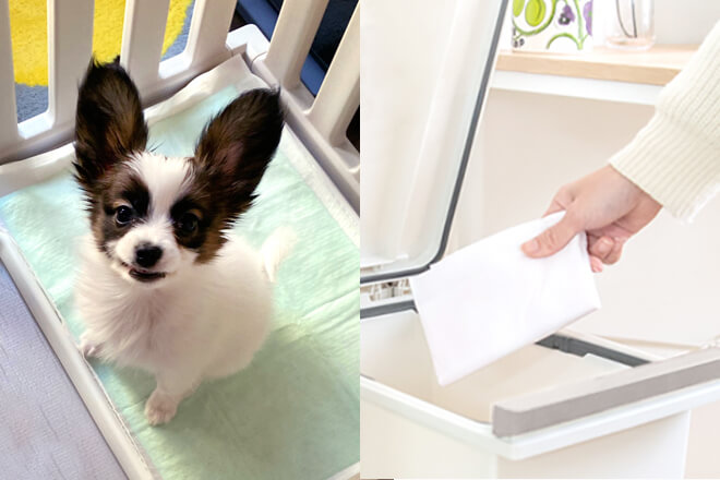 ペットシーツ用防臭ゴミ箱の選び方｜臭いを抑えるコツやおすすめ3選 画像